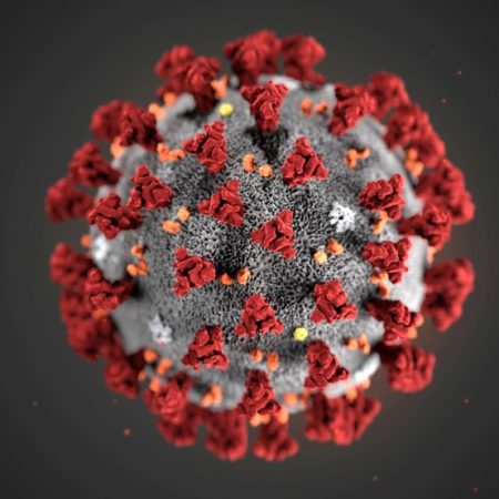 coronavirus-4-